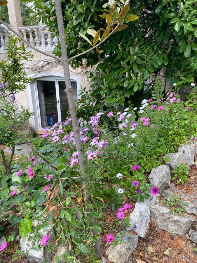 Chambre Spacieuse Independante Dans Villa Plus Parking Privee Le Cannet Dış mekan fotoğraf