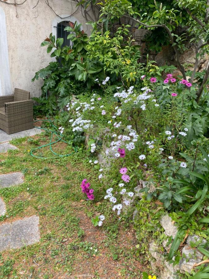 Chambre Spacieuse Independante Dans Villa Plus Parking Privee Le Cannet Dış mekan fotoğraf